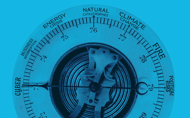 useful description of image if informative and not decoration only.